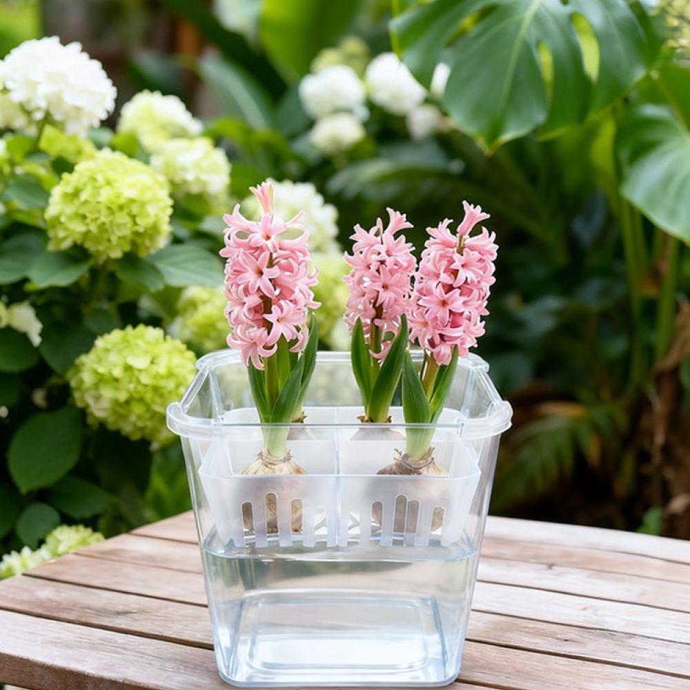 Vase Decor - Vase hydroponique pour tulipes et lys,