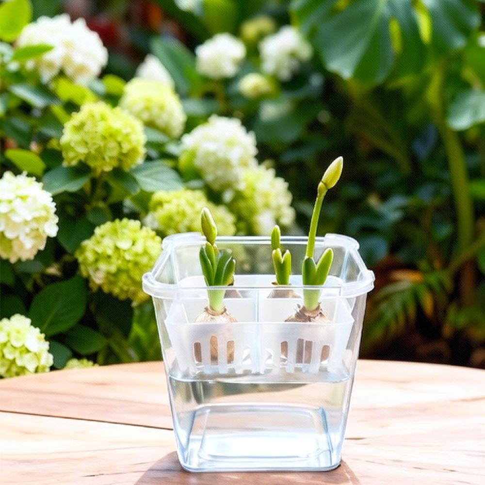 Vase hydroponique pour tulipes - Vase Decor avis et prix