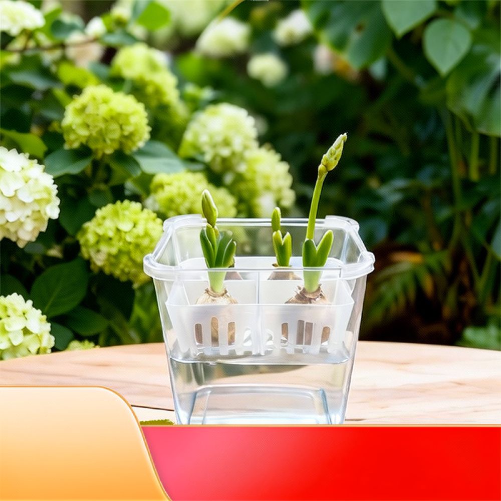 Vase hydroponique pour tulipes - Vase Decor avis et prix