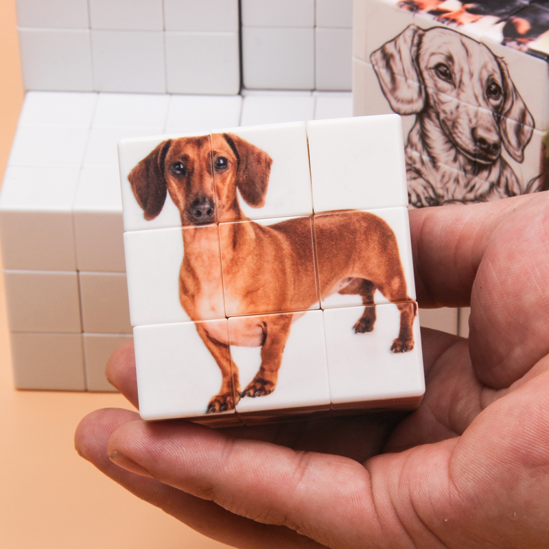 Cubes magiques personnalisés,  - Picture Frame avis et prix